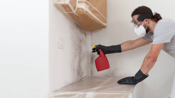 Professional Attic Mold Remediation technician working in Benzonia, MI
