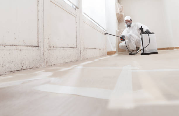 24/7 Emergency Attic Mold Remediation experts in Benzonia, MI