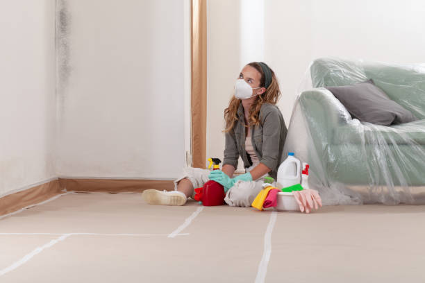 Reliable Attic Mold Remediation contractor in Benzonia, MI by Car Mold Remediation
